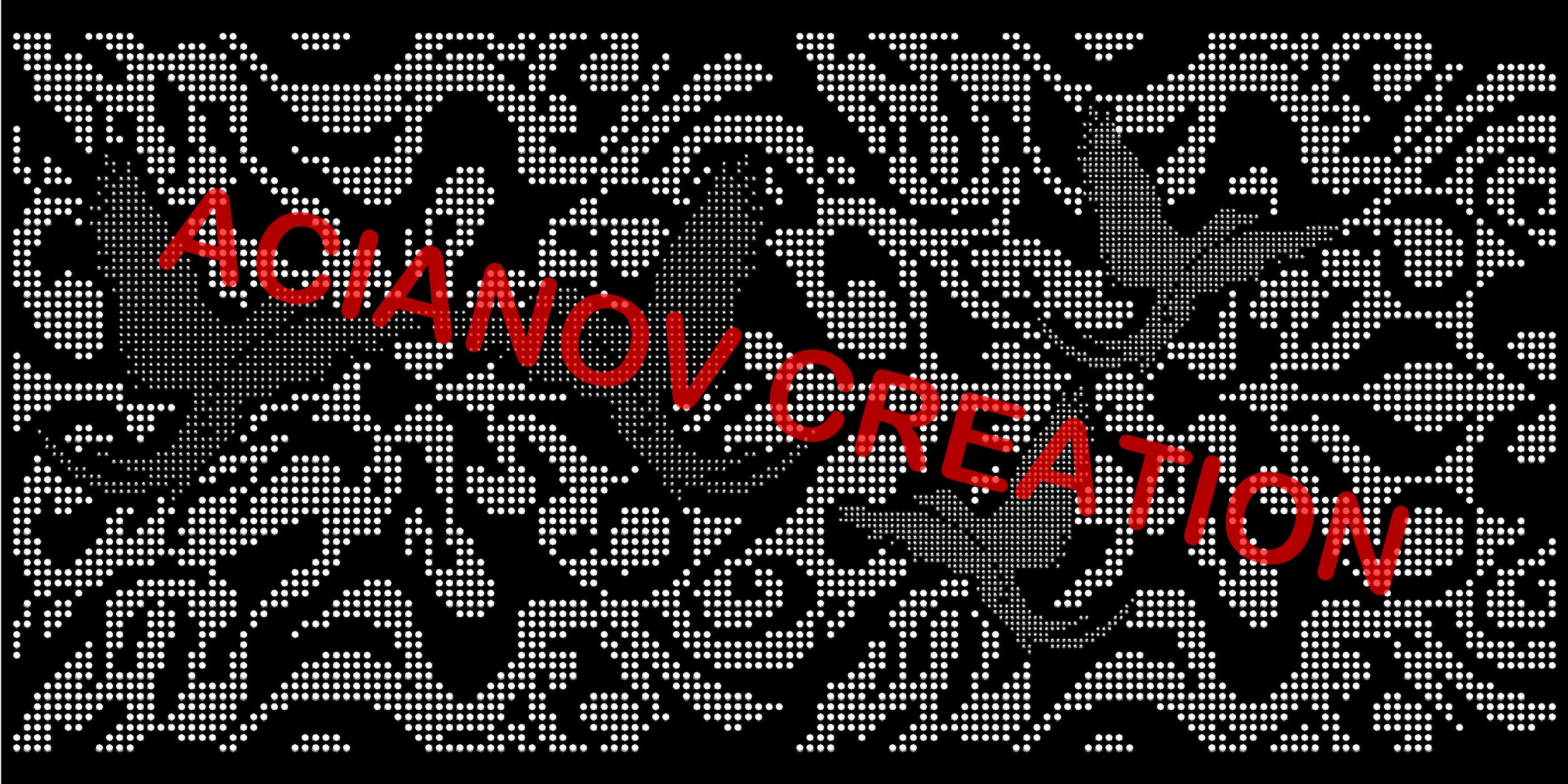 oiseaux acianov creation logo