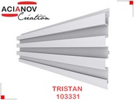 tristan 103331 acianov v