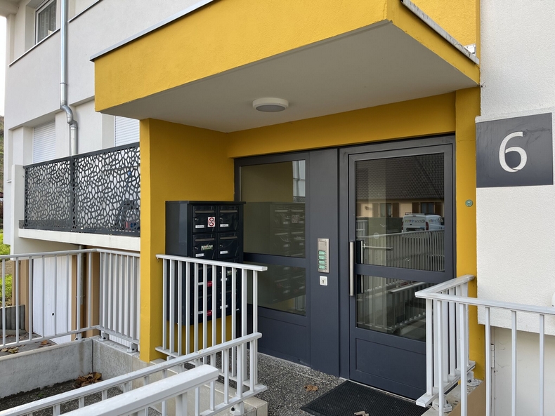 witzenheim tole decorative garde corps acianov opus corium 1