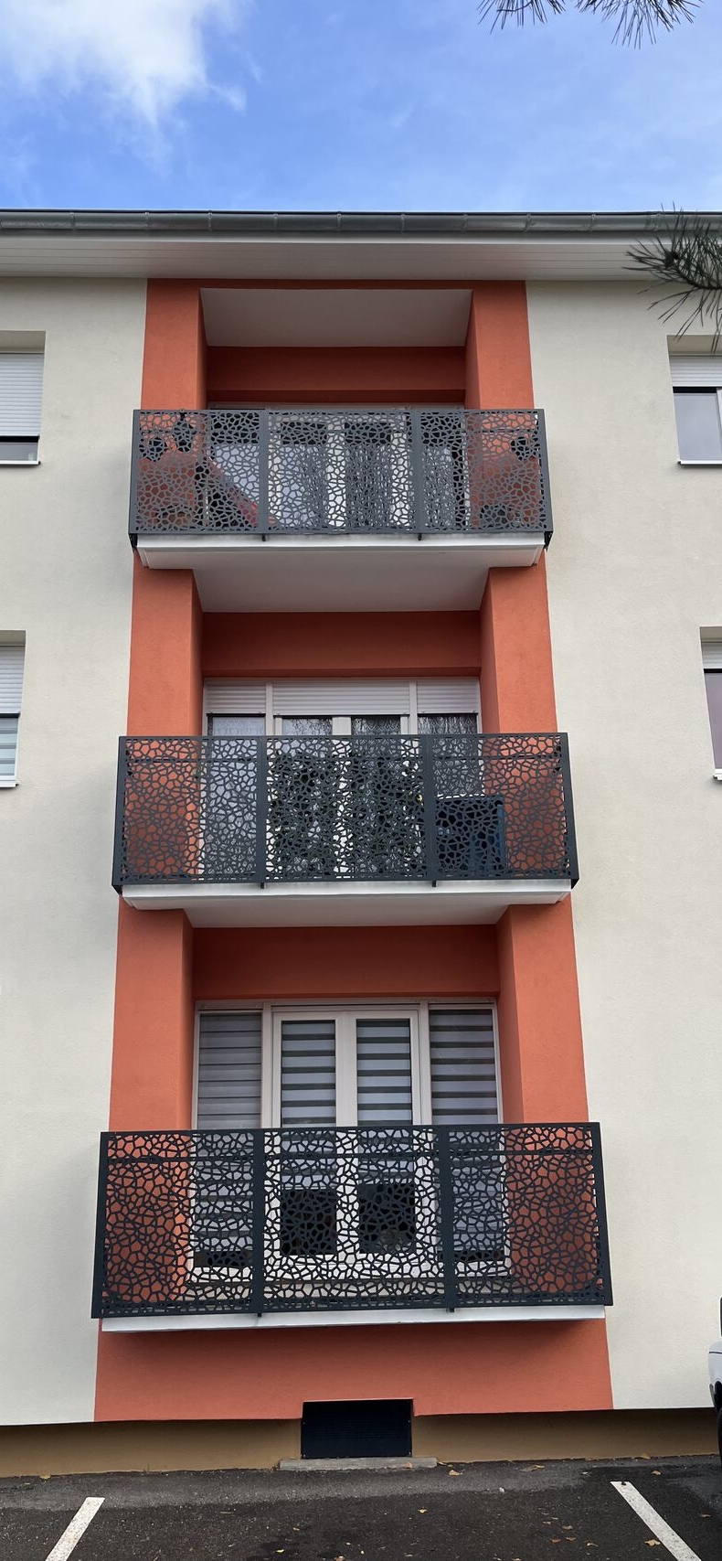 witzenheim tole decorative garde corps acianov opus corium 3