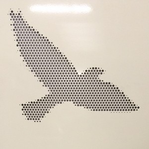 oiseau-acianov-creation