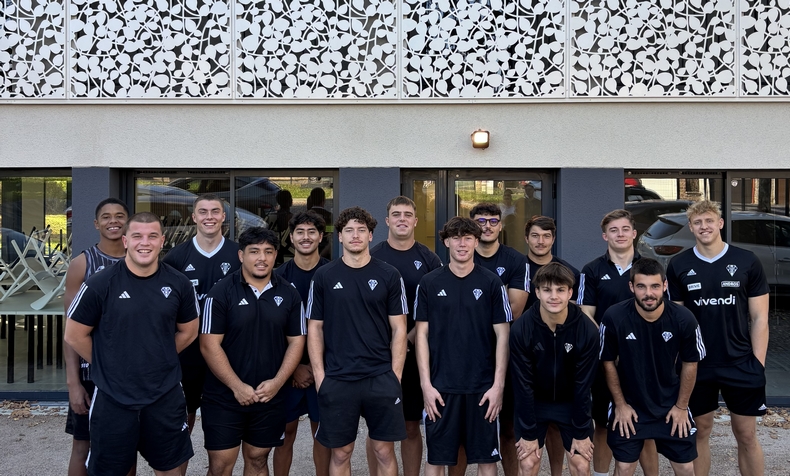 cabcl tole decorative laser kiwi acianov resille metal 3