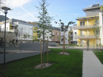 carr-mellinet-image1