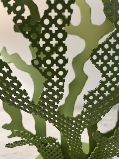 583232604 18176676637365958 8264319719846282598 n