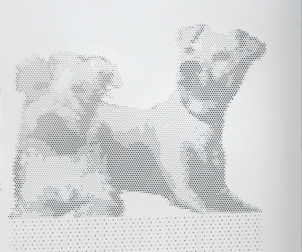 chiens-acianov-creation-photo5