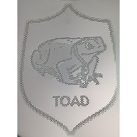 toad acianov tole perforee pixellisee vignette