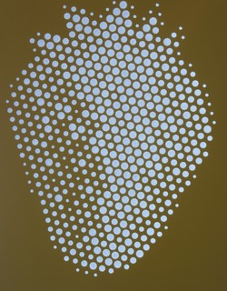 fraise-acianov-creation